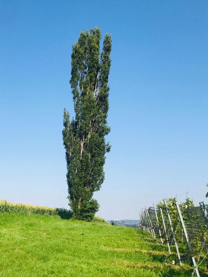 Landvilla Sinelia Premium Dietersdorf am Gnasbach Eksteriør bilde