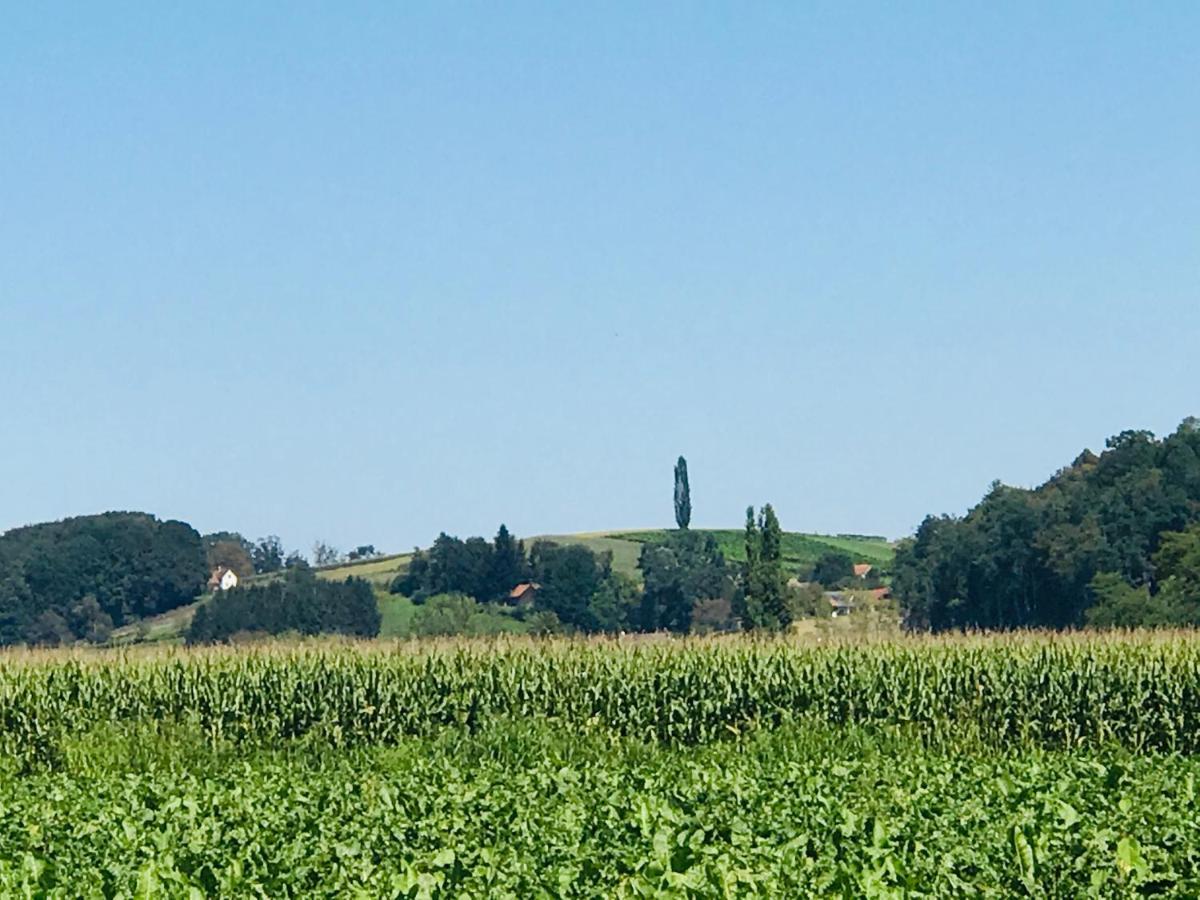 Landvilla Sinelia Premium Dietersdorf am Gnasbach Eksteriør bilde